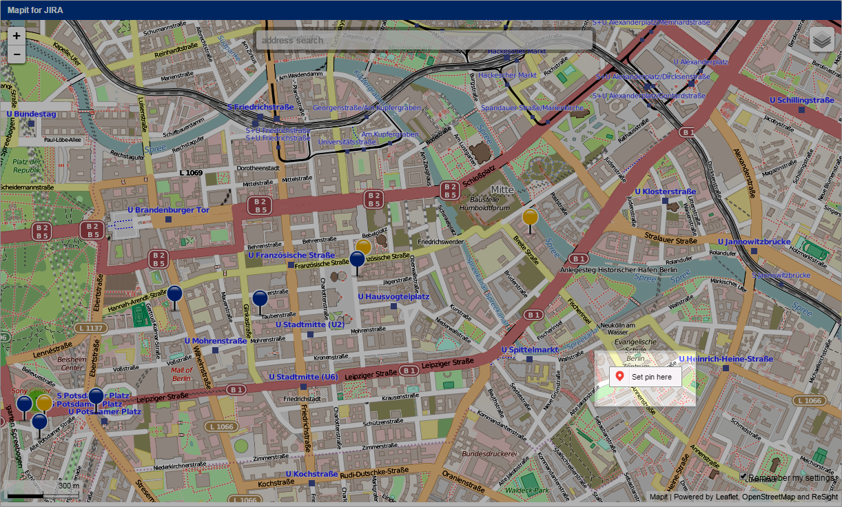 Set pin at a custom location